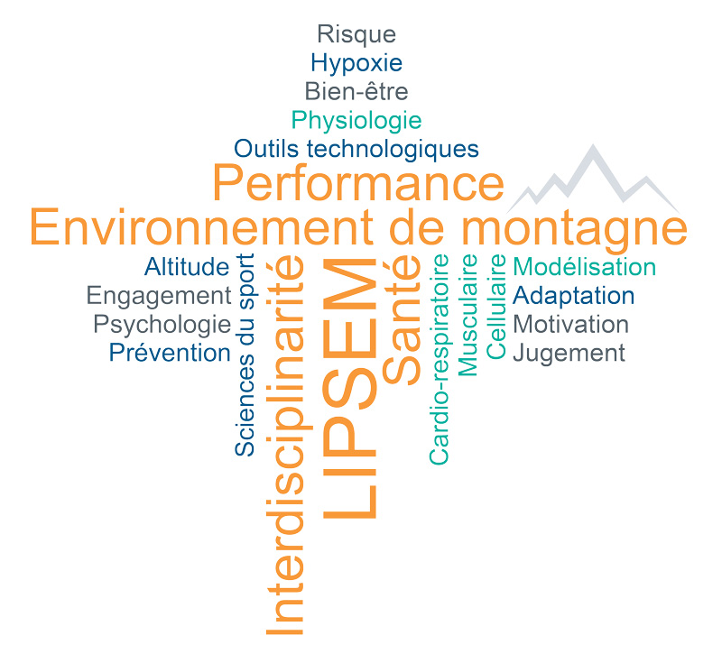 LIPSEM - Nuage des mots